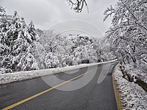 Snow-covered forest road in mountains