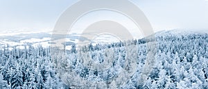 Snow-covered forest with a valley at the foot of the mountain, winter landscape in the Sudetes