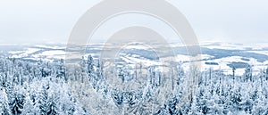 Snow-covered forest with a valley at the foot of the mountain, winter landscape in the Sudetes