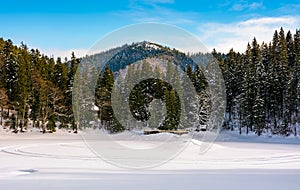 Snow covered frozen Synevyr lake in winter