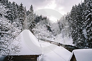 Snow covered and frozen wooden cabins in the middle of mountain forest with stream on background in winter. Snowy slovak