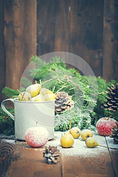 Snow-covered fruit