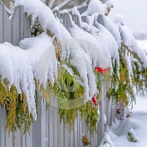 Snow covered garland on a fence in Daybreak Utah