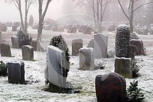 Snow Covered Graves