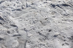 Snow covered ground with different steps and traces.