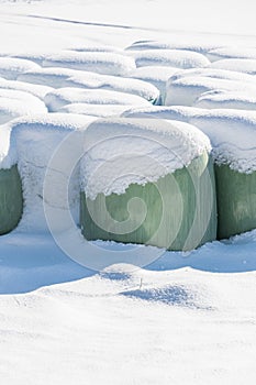 Snow covered haylage bales wrapped in green foil will provide food for farm animals during winter