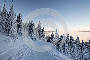 Snow covered hiking trail with frozen trees around and hills on the background