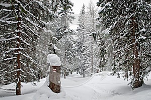 Snow covered hiking trail in winter
