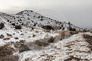 Snow covered hill with brush and barb wire fence in rural New Mexico