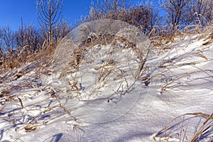 Snow covered hillside surface with grasses and bushes