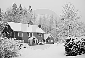 Snow covered house in forest