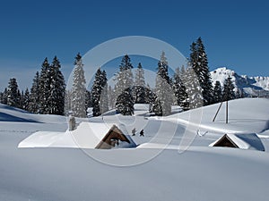 Snow covered huts and trees, Toggenburg