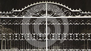 Snow-covered iron gates. winter wrought fence gates