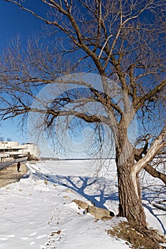 Snow covered lake Monona at Madison Wisconsin