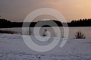 Snow-covered lake shore under ice at sunset