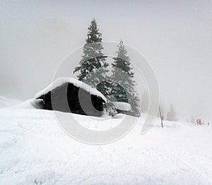 Snow covered landscape