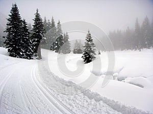 Snow covered landscape