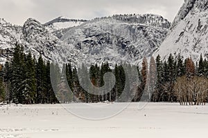 Snow-covered landscape