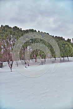 snow covered landscape