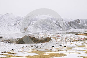 The snow-covered landscape in Buddhist Academy. Larong Wuming Buddhist Academy