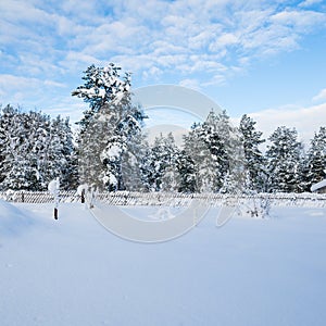 Snow-covered landscape in the countryside