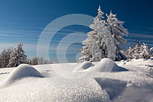 A snow covered landscape Czech Republic - Pustevny, Beskydy, Radegast, Radhost