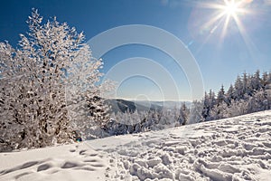 A snow covered landscape Czech Republic - Pustevny, Beskydy, Radegast, Radhost