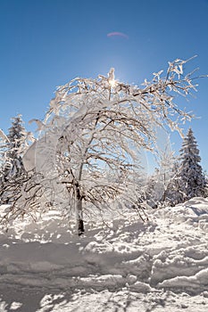 A snow covered landscape Czech Republic - Pustevny, Beskydy, Radegast, Radhost