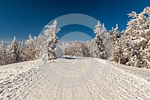 A snow covered landscape Czech Republic - Pustevny, Beskydy, Radegast, Radhost