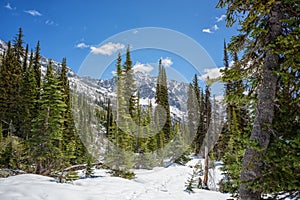 Snow covered landscape in Kokanee Glacier Provincial Park, British Columbia, Canada