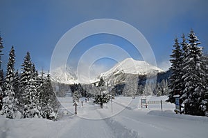 Zasněžená krajina a horské štíty zimní Vysoké Tatry Slovensko