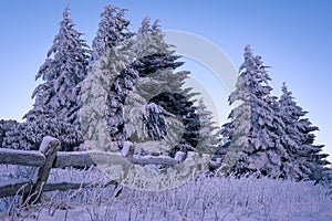 Snow Covered Landscape in North Carolina