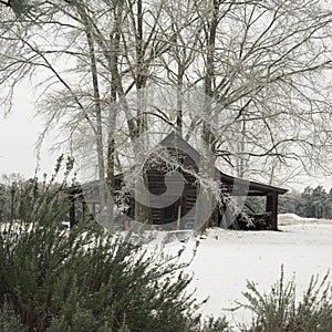 Snow covered landscape scene country and rural areas beauty in the heartland