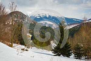 Snow covered landscape