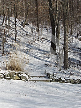 Snow covered landscape in the winter time