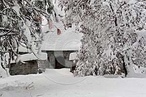 Snow-covered landscape in Yosemite