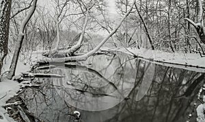 Snow covered landscapes in belmont north carolina along catawba