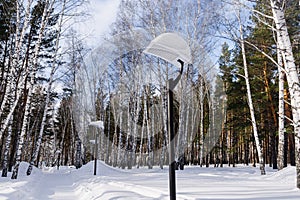 Snow-covered lanterns on the road in a pine forest. Winter weekend concept. Walk in the park