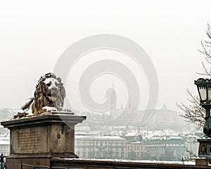 Snow-covered Lion Statue, Budapest, Hungary