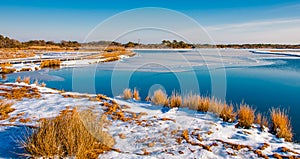 Snow covered marsh at Assateague Island National Seashore, Maryland.