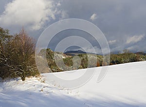 Snow covered meadow with decidouous trees and conifer forest and hills with lookout tower, blue sky. Winter landscape in