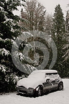 Snow Covered Mini Cooper