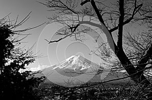 Snow covered Mount Fuji and blue sky autumn view from Chureito Pagoda park in Fujiyoshida. Black and white