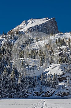 Snow Covered Mountain in Colorado Wilderness