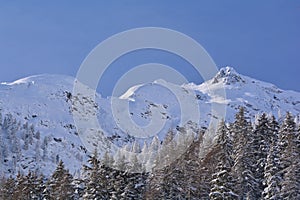 Snow covered mountain crests and forest