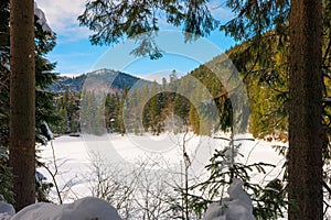 Snow covered mountain lake among the forest