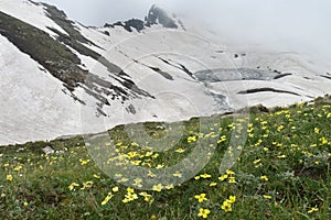 Snow-covered mountain lake in the spring