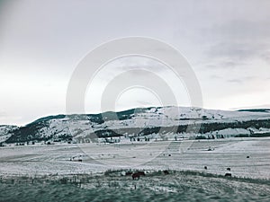 A snow-covered mountain in Merritt, British Columbia, Canada