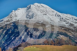 Montagna 