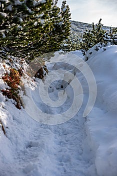 Zasněžené vrcholky hor a turistické stezky na slovensku tatra